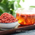 Best Ningxia High Quality Dried Goji Berry/Wolfberry